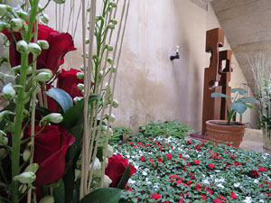 Temps de Flors 2015. Palaus, patis i espais del carrer Ciutadan