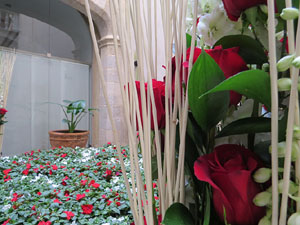 Temps de Flors 2015. Palaus, patis i espais del carrer Ciutadan