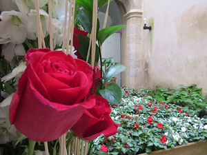 Temps de Flors 2015. Palaus, patis i espais del carrer Ciutadan
