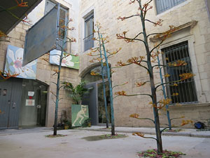 Temps de Flors 2015. Palaus, patis i espais del carrer Ciutadan