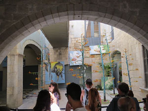 Temps de Flors 2015. Palaus, patis i espais del carrer Ciutadan