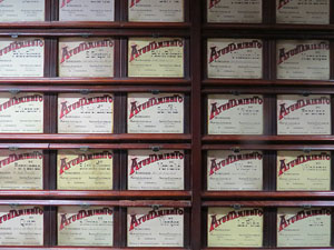 Temps de Flors 2015. Palaus, patis i espais del carrer Ciutadan