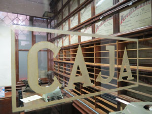 Temps de Flors 2015. Palaus, patis i espais del carrer Ciutadan