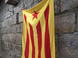 Temps de Flors 2015. Palaus, patis i espais del carrer Ciutadan