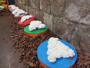 Temps de Flors 2015. Palaus, patis i espais del carrer Ciutadan