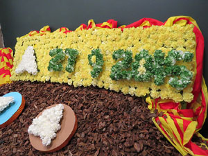 Temps de Flors 2015. Palaus, patis i espais del carrer Ciutadan