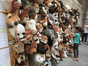 Temps de Flors 2015. Palaus, patis i espais del carrer Ciutadan