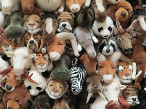 Temps de Flors 2015. Palaus, patis i espais del carrer Ciutadan