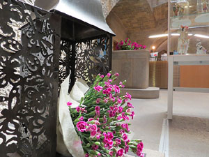 Temps de Flors 2015. Palaus, patis i espais del carrer Ciutadan