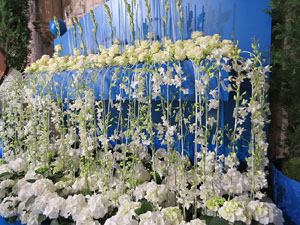 Temps de Flors 2015. Decoració floral del claustre de la Catedral