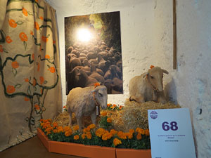 Temps de Flors 2015. Capella de Sant Crist&ograve;fol i Jardins de la Francesa
