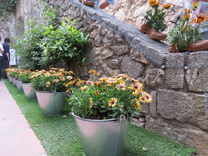 Temps de Flors 2015. Capella de Sant Crist&ograve;fol i Jardins de la Francesa