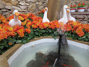 Temps de Flors 2015. Capella de Sant Crist&ograve;fol i Jardins de la Francesa