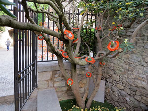 Temps de Flors 2015. Capella de Sant Crist&ograve;fol i Jardins de la Francesa