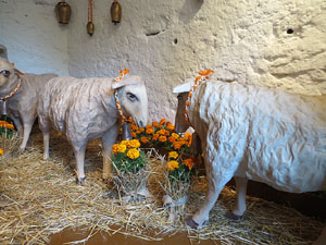 Temps de Flors 2015. Capella de Sant Crist&ograve;fol i Jardins de la Francesa