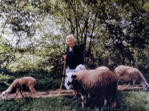 Temps de Flors 2015. Capella de Sant Crist&ograve;fol i Jardins de la Francesa