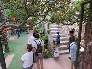 Temps de Flors 2015. Capella de Sant Crist&ograve;fol i Jardins de la Francesa