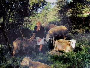 Temps de Flors 2015. Capella de Sant Crist&ograve;fol i Jardins de la Francesa