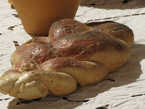 Temps de Flors 2015. Casa Laporta - C&uacute;ndaro