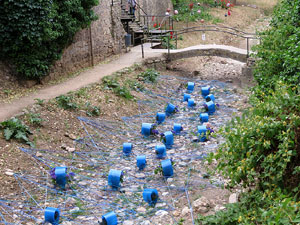 Temps de Flors 2015. Jardins del Doctor Figueras