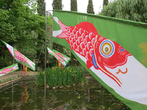 Temps de Flors 2015. Jardins del Doctor Figueras