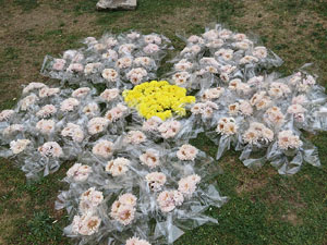 Temps de Flors 2015. Jardins del Doctor Figueras