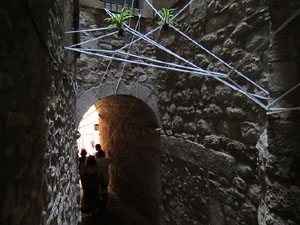 Temps de Flors 2015. Carrer de la For&ccedil;a. Patis, espais, carrerons