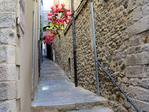Temps de Flors 2015. Carrer de la For&ccedil;a. Patis, espais, carrerons
