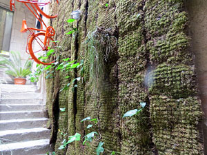 Temps de Flors 2015. Carrer de la For&ccedil;a. Patis, espais, carrerons