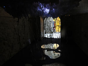 Temps de Flors 2015. Carrer de la For&ccedil;a. Patis, espais, carrerons