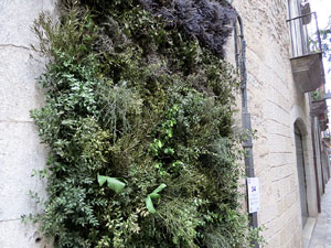 Temps de Flors 2015. Carrer de la For&ccedil;a. Patis, espais, carrerons