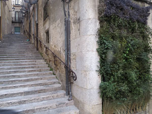 Temps de Flors 2015. Carrer de la For&ccedil;a. Patis, espais, carrerons