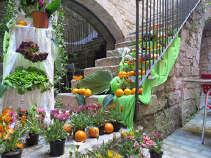 Temps de Flors 2015. Carrer de la For&ccedil;a. Patis, espais, carrerons