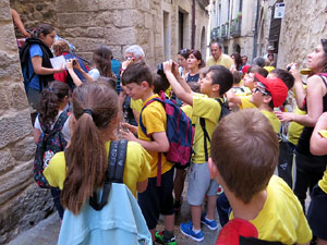Temps de Flors 2015. Carrer de la For&ccedil;a. Patis, espais, carrerons