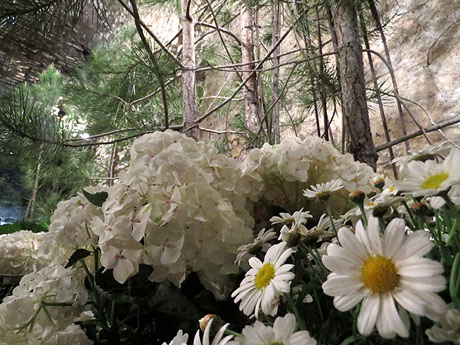 Temps de Flors 2015. Decoració floral de la Torre Gironella