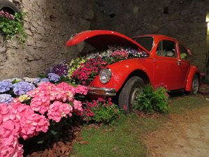 Temps de Flors 2015. Museu d'Hist&ograve;ria de Girona