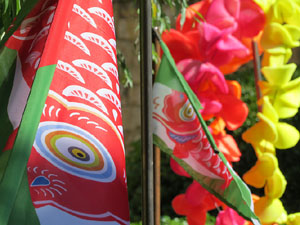 Temps de Flors 2015. La preparaci&oacute;