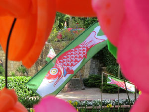 Temps de Flors 2015. La preparaci&oacute;