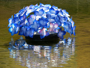 Temps de Flors 2015. La preparaci&oacute;