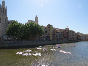 Temps de Flors 2015. La preparaci&oacute;