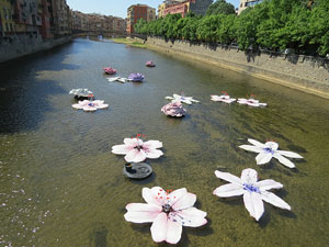 Temps de Flors 2015. La preparaci&oacute;