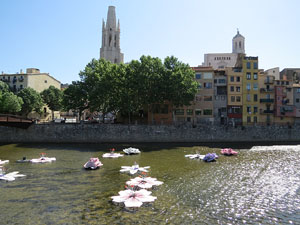 Temps de Flors 2015. La preparaci&oacute;