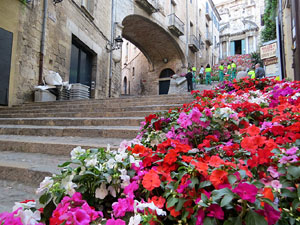 Temps de Flors 2015. La preparaci&oacute;
