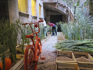 Temps de Flors 2015. La preparaci&oacute;