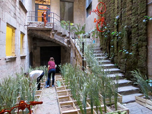 Temps de Flors 2015. La preparaci&oacute;