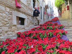Temps de Flors 2015. La preparaci&oacute;