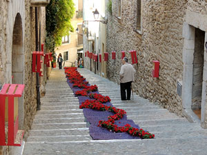 Temps de Flors 2015. La preparaci&oacute;