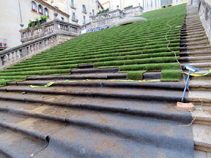 Temps de Flors 2015. La preparaci&oacute;