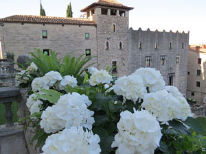 Temps de Flors 2015. La preparaci&oacute;
