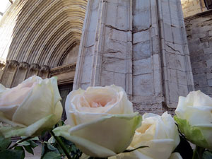 Temps de Flors 2015. La preparaci&oacute;